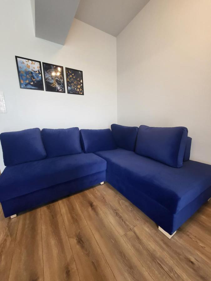 Nest Niebieski Затор Екстер'єр фото